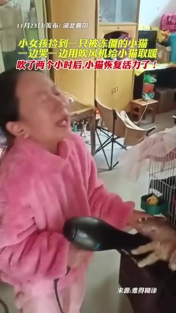 小女孩发现了一只因寒冷而失去活力的小猫,她边哭泣边用吹风机为小猫