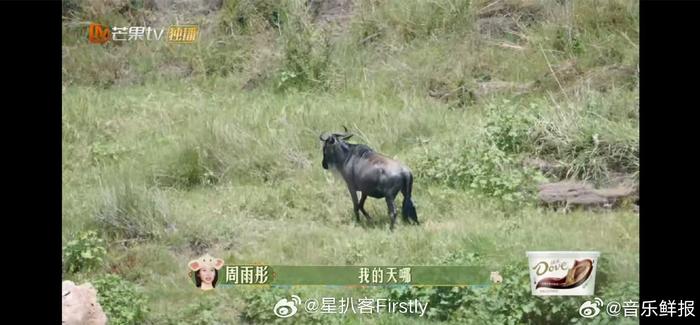 《花少5》见证了生命的奇迹！
