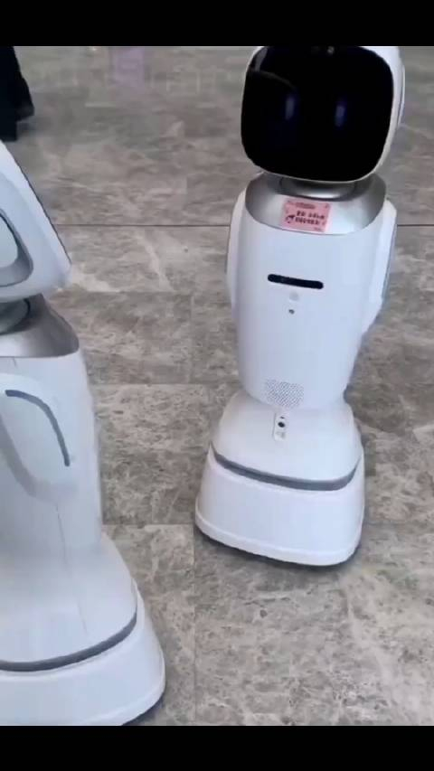 江西图书馆的机器人吵架,哈哈哈哈,不知道是真的 ai 还是远程配音