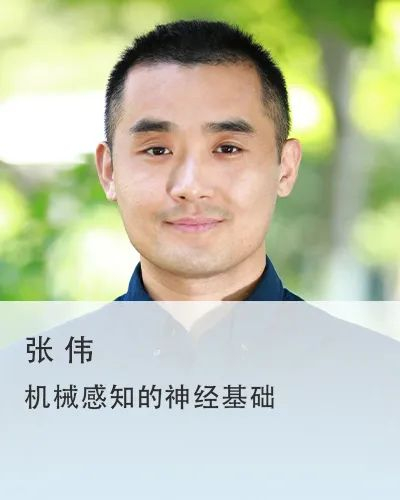 Nat Commun:张伟课题组揭示果蝇平衡生殖和生存的神经环路机制__财经头条__新浪财经