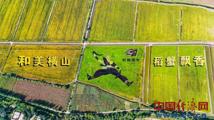 　　稻田蟹丰收盛景鸟瞰图 资料图片