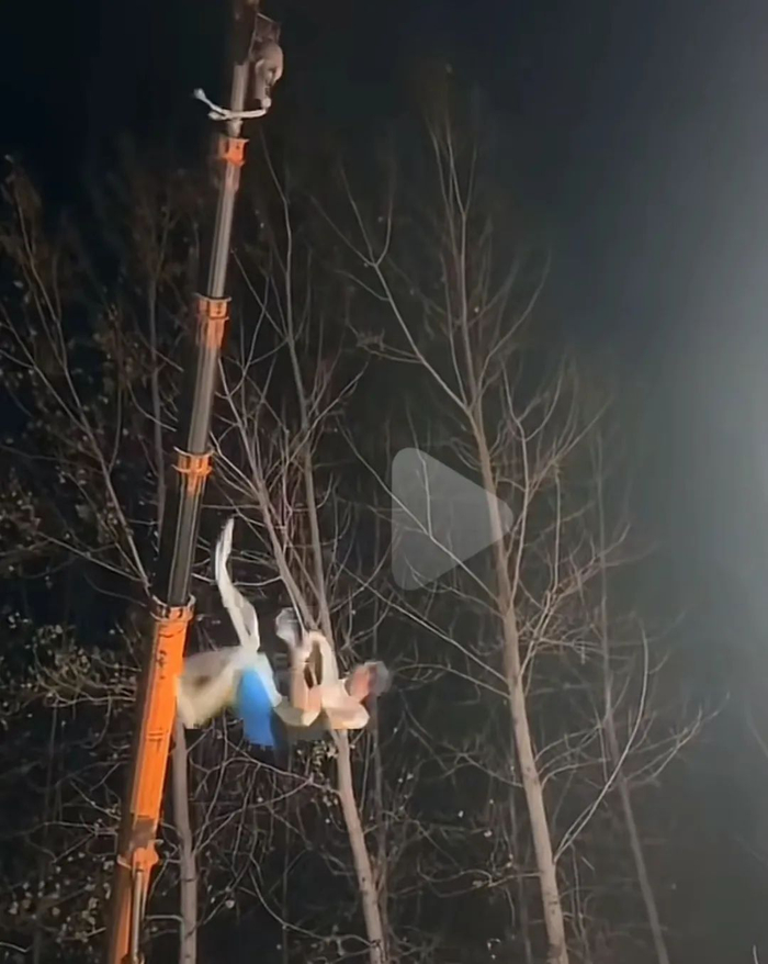 图源：视频截图