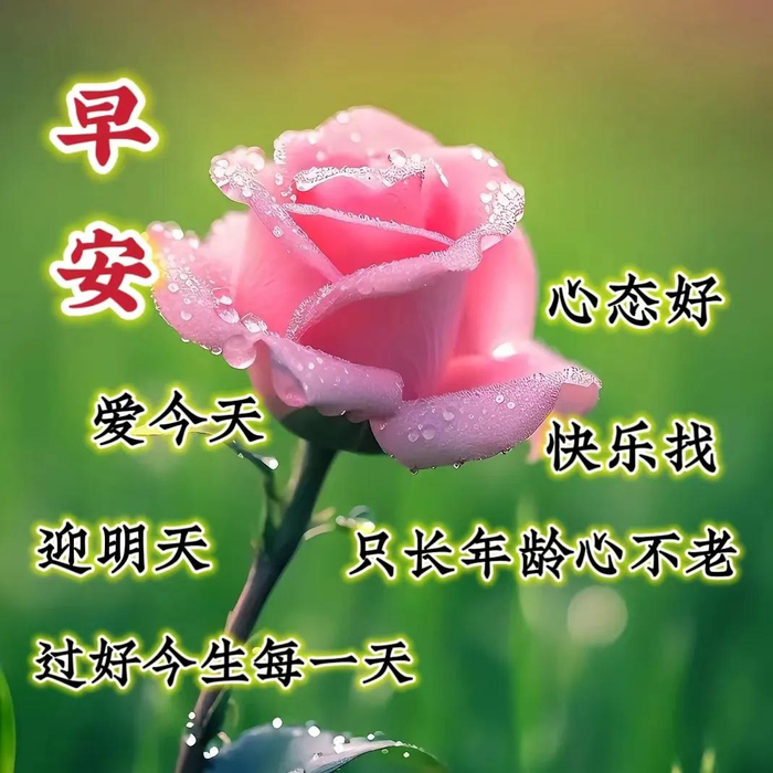 2024年11月27日最新早上好祝福语图片大全 精选早安问候祝福图片带字