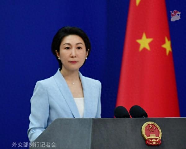毛寧資料圖。圖源:外交部網站