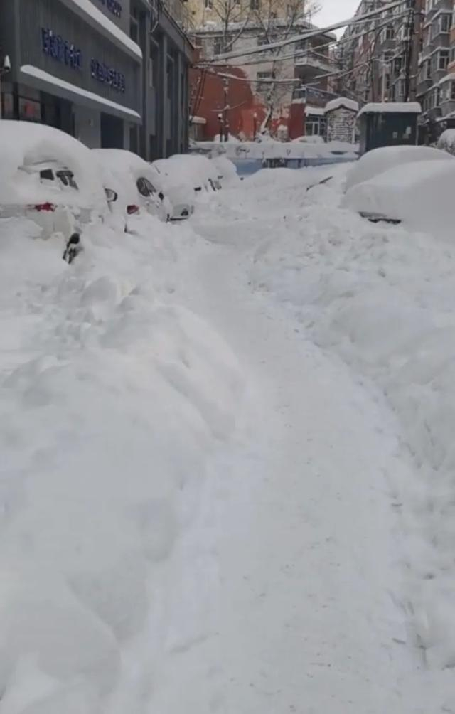 埋在雪里的车辆与道路。图/受访者提供
