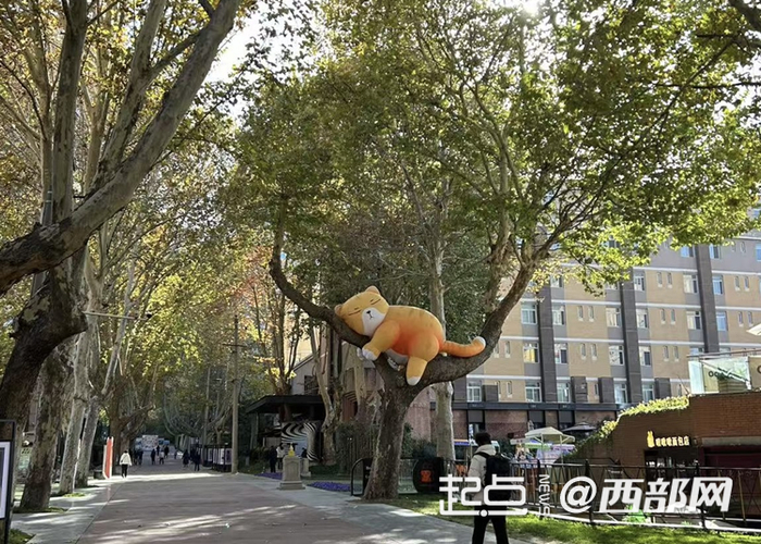 今冬陕西气温偏高冷空气偏弱，明年1月出现低温雨雪天气可能性大。