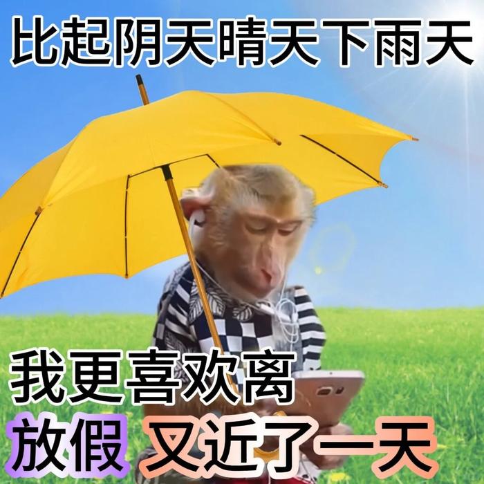 可能是阿知这周有在好好搬砖，所以感觉时间过得格外的快…