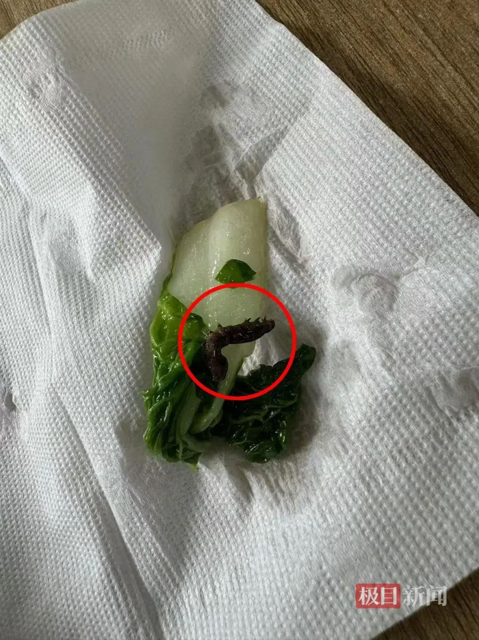 11月22日，家长们在食物中发现的虫子（受访者供图）