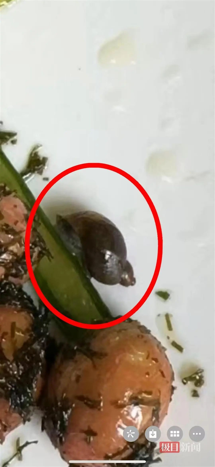 11月22日，家长们在食物中发现的蜗牛（受访者供图）