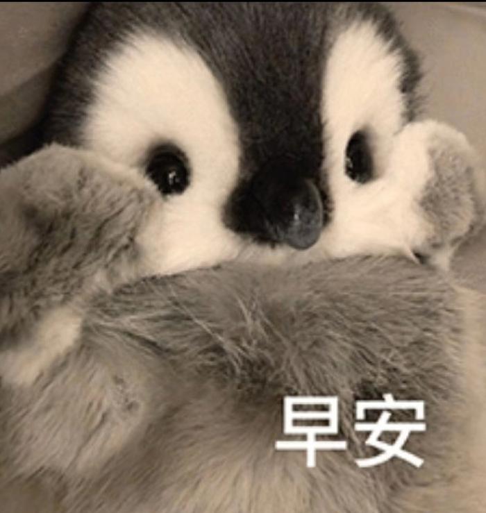 宝宝们早上好 今天是军团杯的半决赛，大家最想在线下见到哪位选手呢