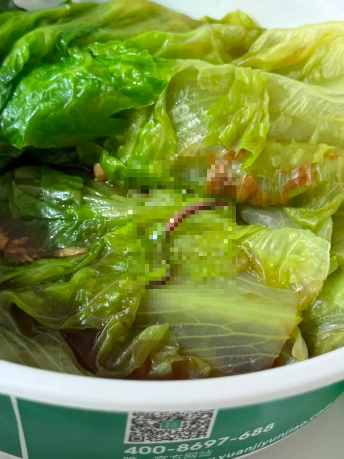 另一名消费者发现的蚯蚓