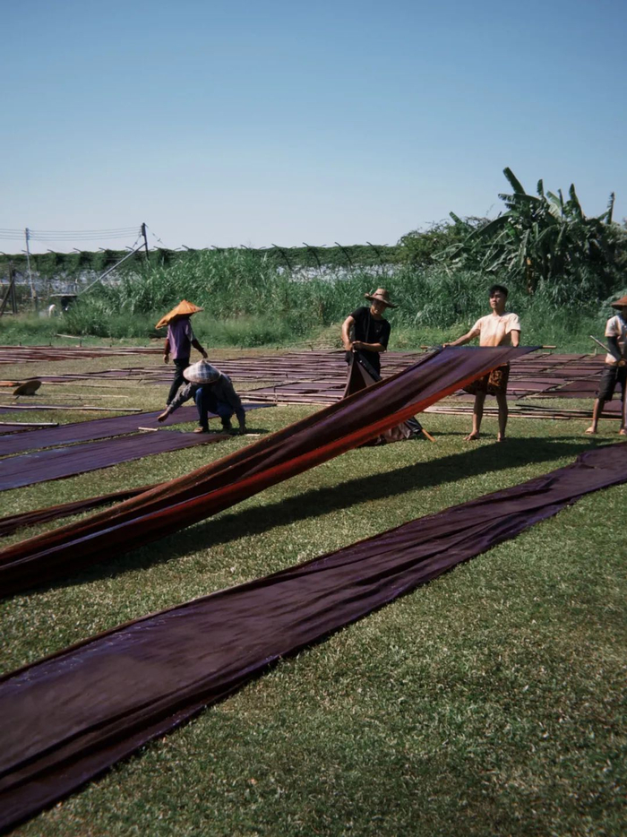 工人们在晒莨场上。（图/阿祯 摄）