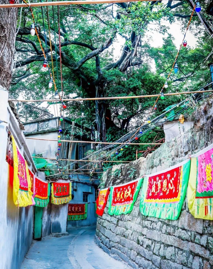 via.妮可成长日记