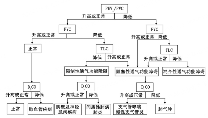 注：：FEV1第1秒用力呼气容积；FVC用力肺活量；TLC肺总量；DLCO一氧化碳弥散量