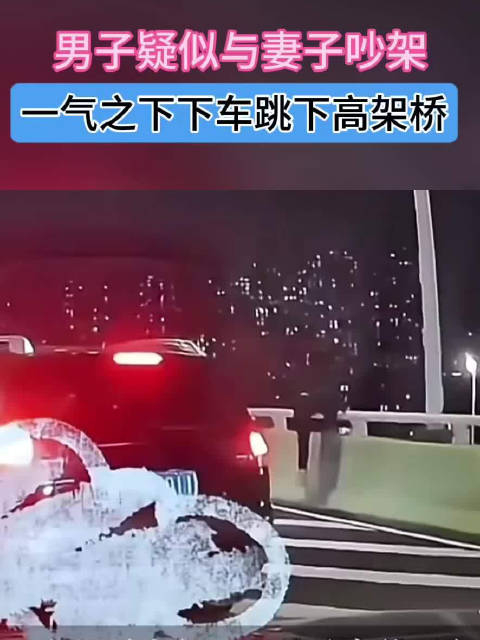 男子疑似与妻子吵架 一气之下跳下高架桥
