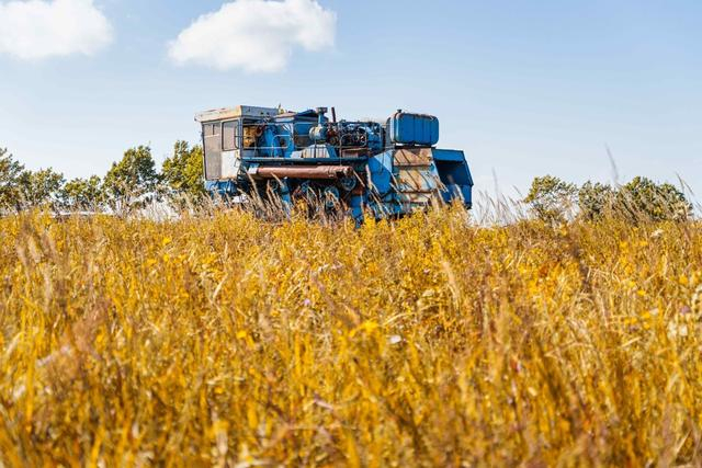 资料图：新华丝路 