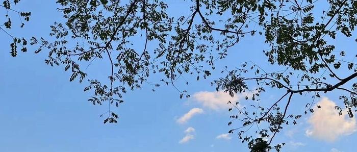 弘一法师说的这段话太经典了！一定要停止抱怨，向内求。