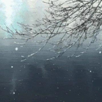 悦读｜冬天的思念