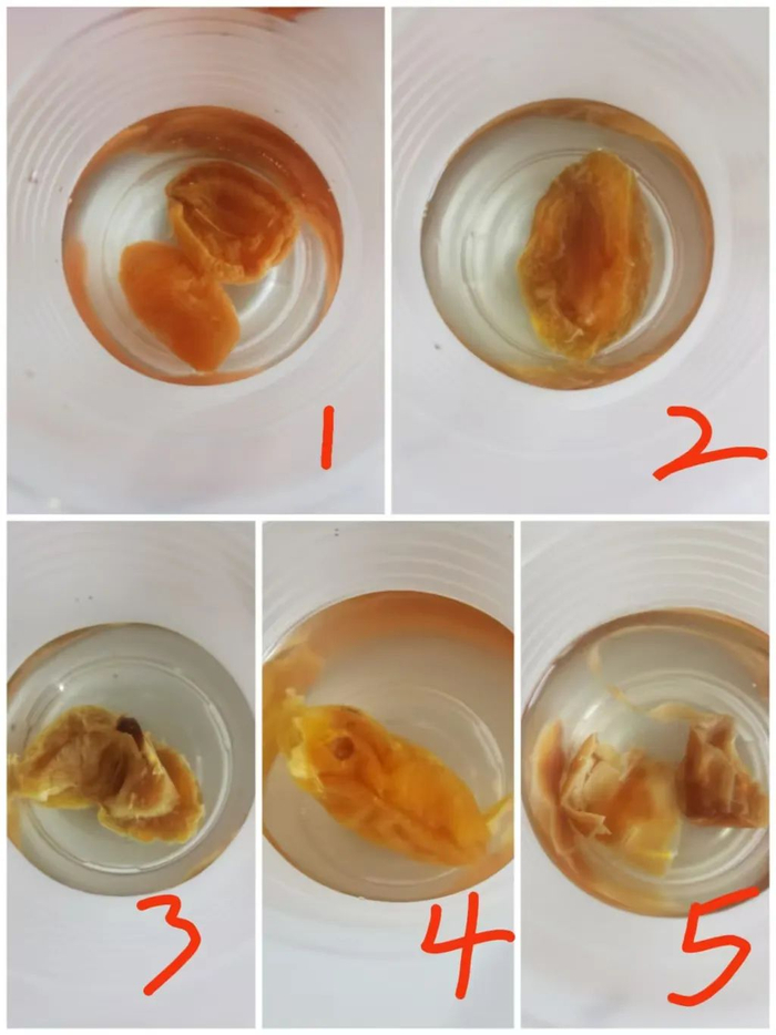 ▲5个“枇杷干”样品泡水实验。新京报记者 刘欢 摄