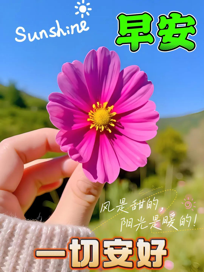 2024年12月5日最新早上好祝福语图片大全 精选早安问候祝福图片带字|平安|缘分|美好的一天|一帘幽梦|财神_新浪新闻