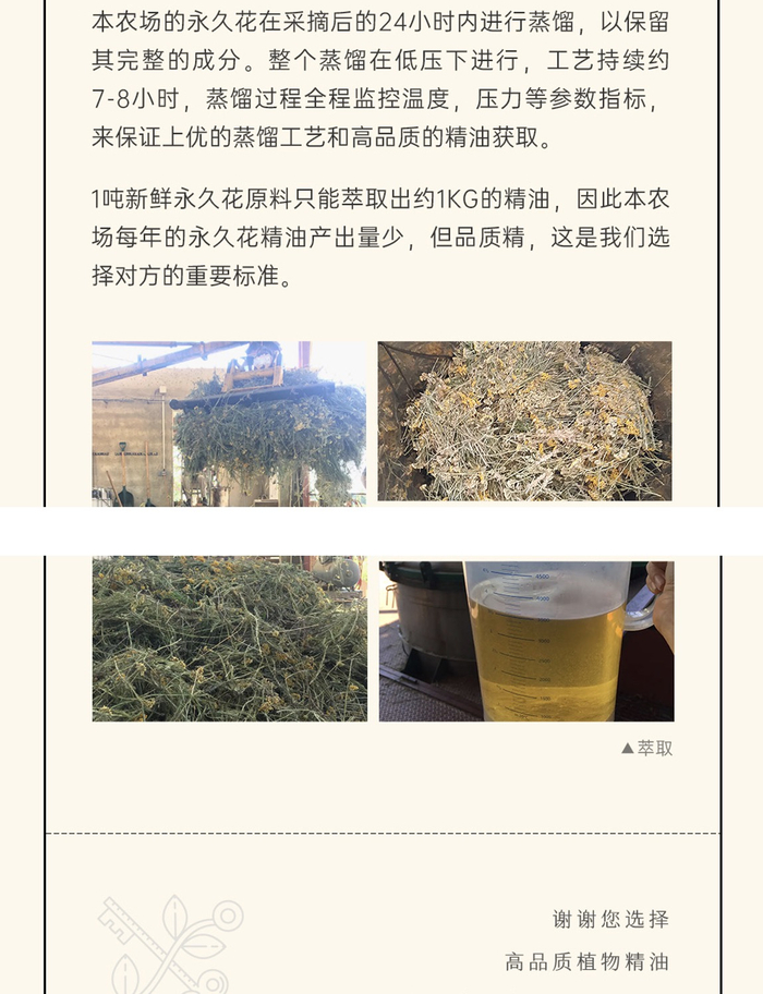 涉事“意大利永久花”精油此前的产品描述，并配有现场蒸馏实拍图 截图自Dr.Wong天猫旗舰店