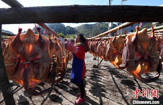 图为沙县郑湖乡村民在自己家里烘烤板鸭。入冬后，农事活动结束，郑湖乡家家户户都有制作板鸭的习惯。中新社记者 张斌 摄