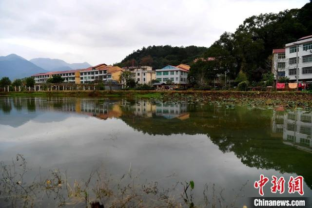 图为沙县夏茂镇俞邦村成排的楼房。中新社记者 张斌 摄