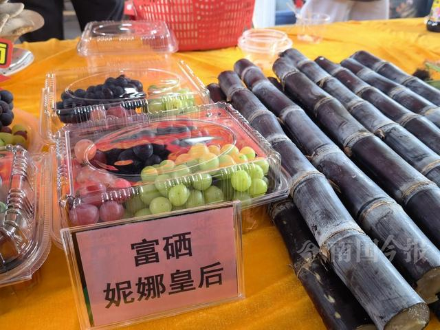 “柳江特色农产品展示区”里展示的精品葡萄。今报记者袁巧玲 摄