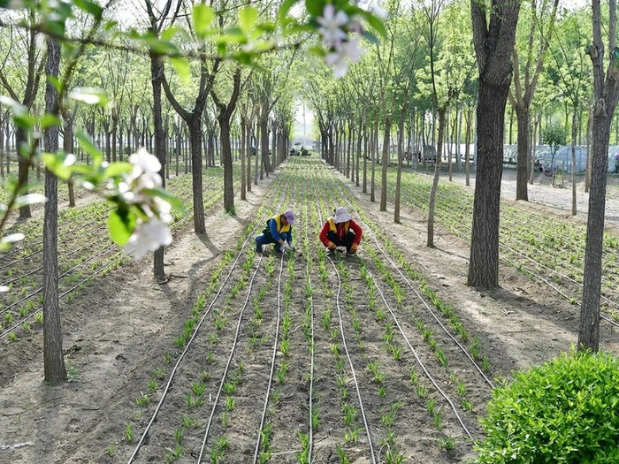 图片来源：德美于家务微信公众号