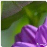 打马而过的匆匆年华，经历过才是真正的拥有过