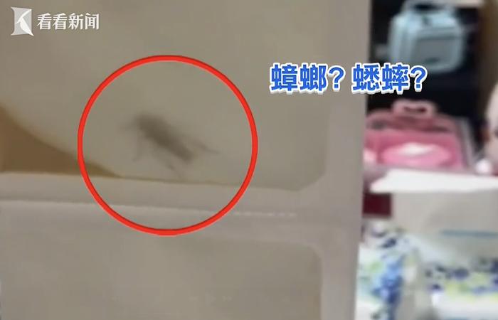 恶心！台湾一家长给小孩喂药时发现药包里有活虫