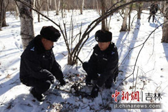 民警正在清除非法捕猎工具 八家子森林公安分局/供图
