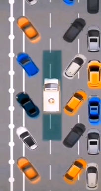 视频截图/苏州交警