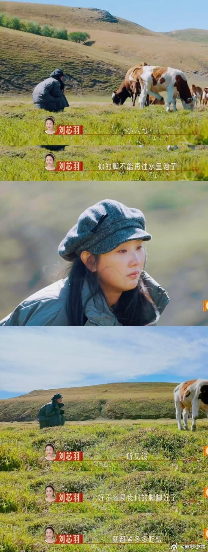 女生们从刚开始的不熟悉到现在的依依不舍，和牛牛们建立了很深的感情