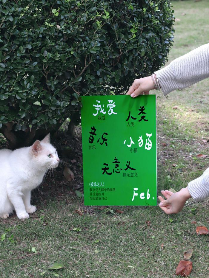 “我爱我的所有微不足道的部分 我爱我所有平凡的日子的总和”