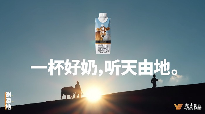 谢添地广告片截图