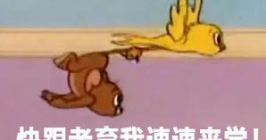 填充物、吊牌标签全造假！你买到的“羽绒服”是真羽绒吗？