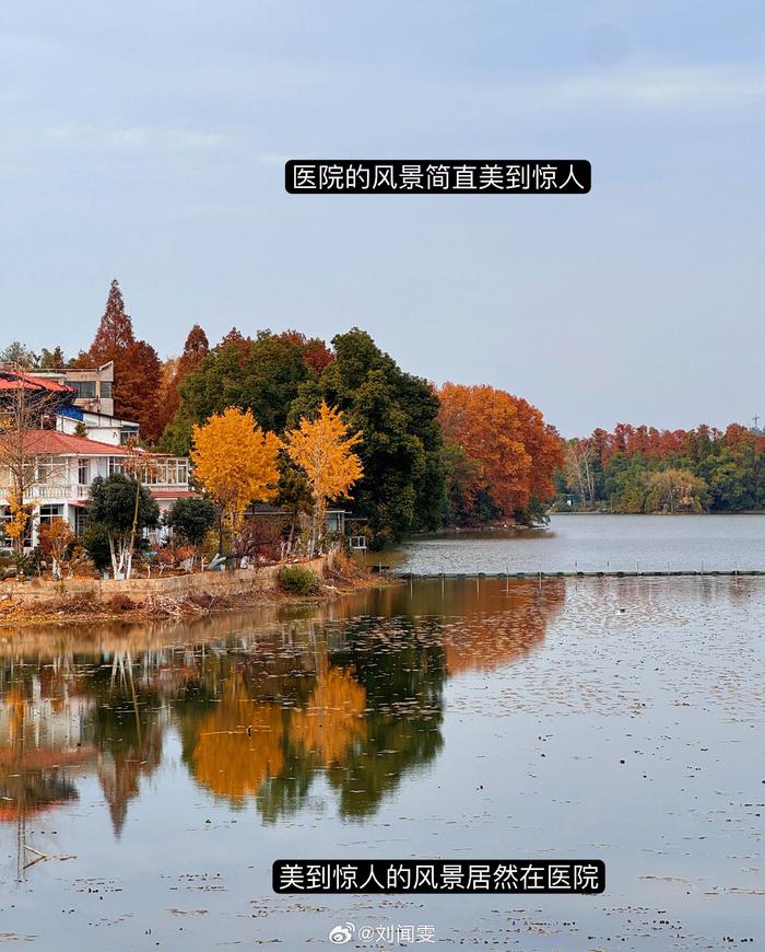 事业有成、婚后家庭幸福 中国加拿大四套房产 这是很多人眼里的成功和幸福