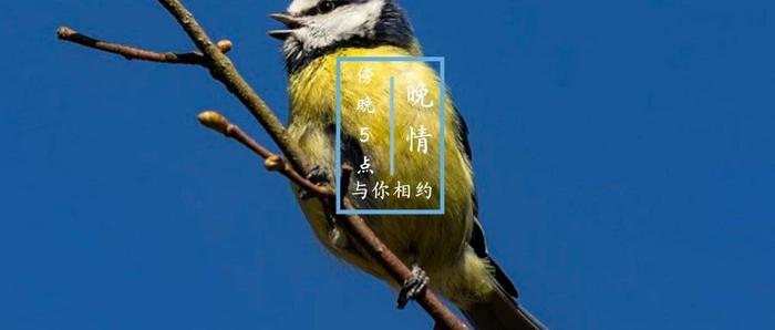 我是一个工人，没房没车没钱，女朋友是大学生，我为她洗脚、做饭、写检讨，就是为了能娶她