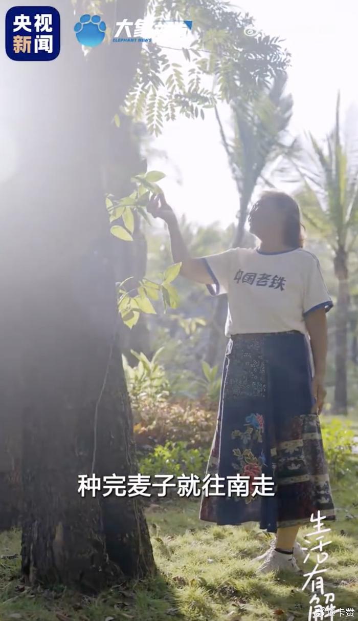 麦子阿姨的南方之旅，不仅是一场旅行，更是一次心灵的释放