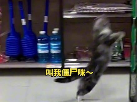 猫僵电影图片