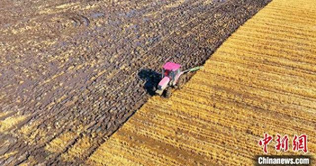 黑龙江省秋收图。黑龙江省农业农村厅 供图