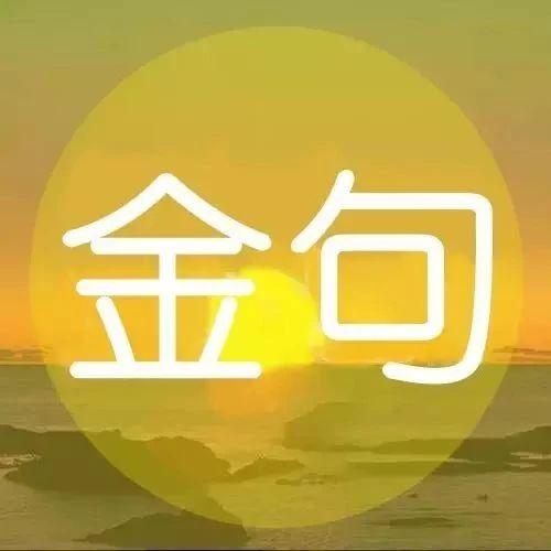 最深的感恩，是理解别人的付出！