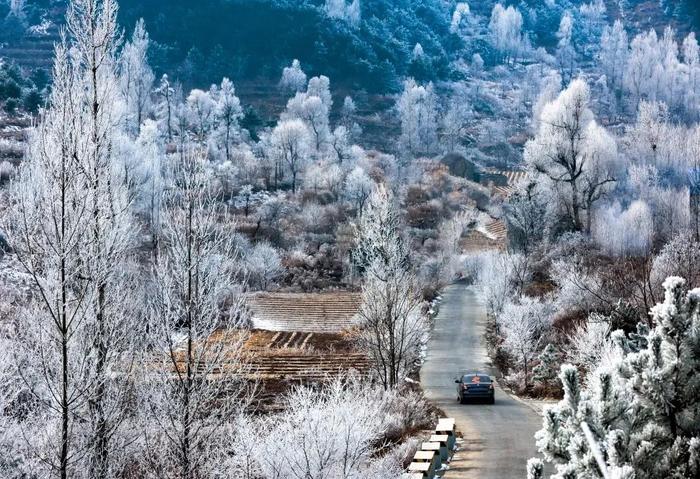 陵川贴吧图片