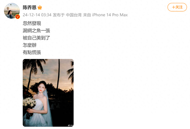 图源：陈乔恩个人社媒