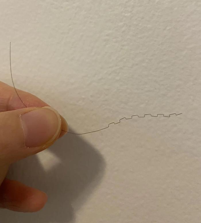 博主贴出来的，亚裔宝宝直发里的一根异样，他说完全没有经过加工…