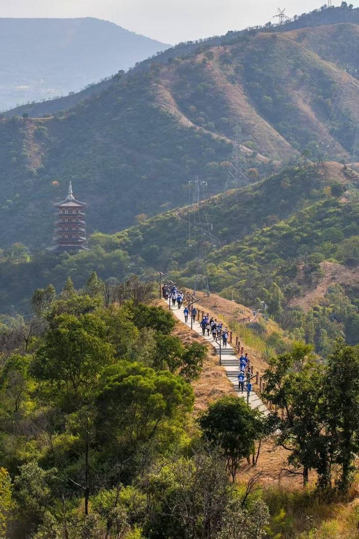 攀枝花玉佛寺登山步道图片