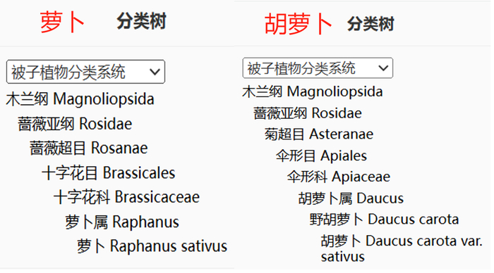 图：中国 iPlant 植物智
