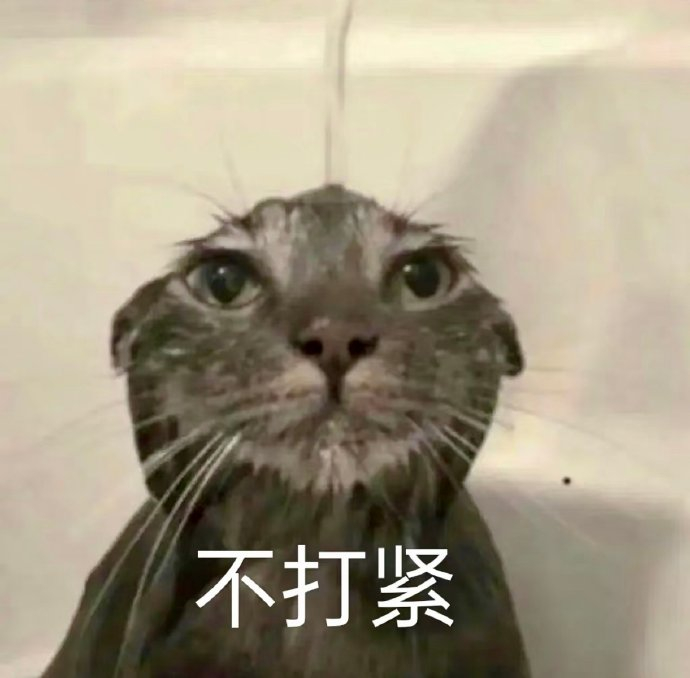 表情包:你看你又急|表情包集锦_新浪新闻