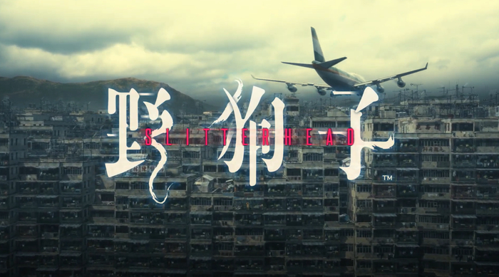 这项目就是后来的《野狗子》